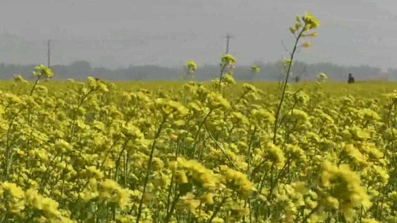 ছবি: প্রতিনিধি