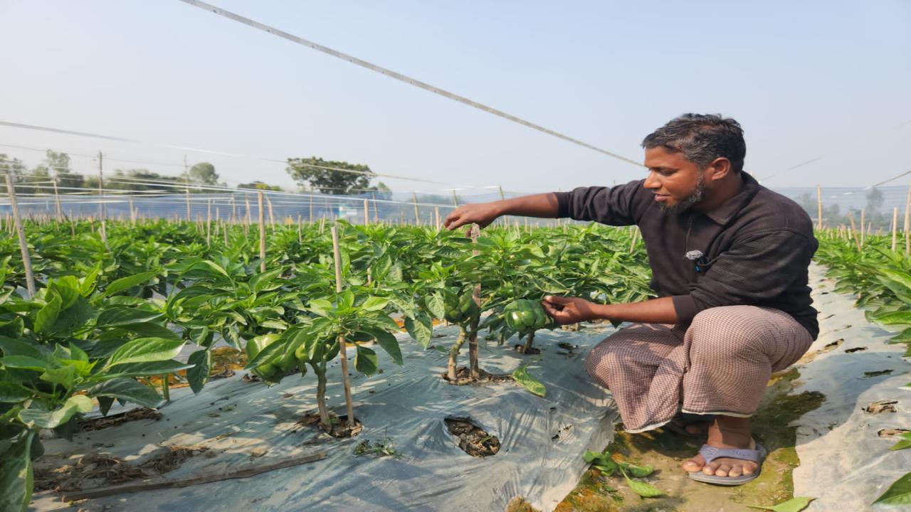 ছবি: প্রতিনিধি