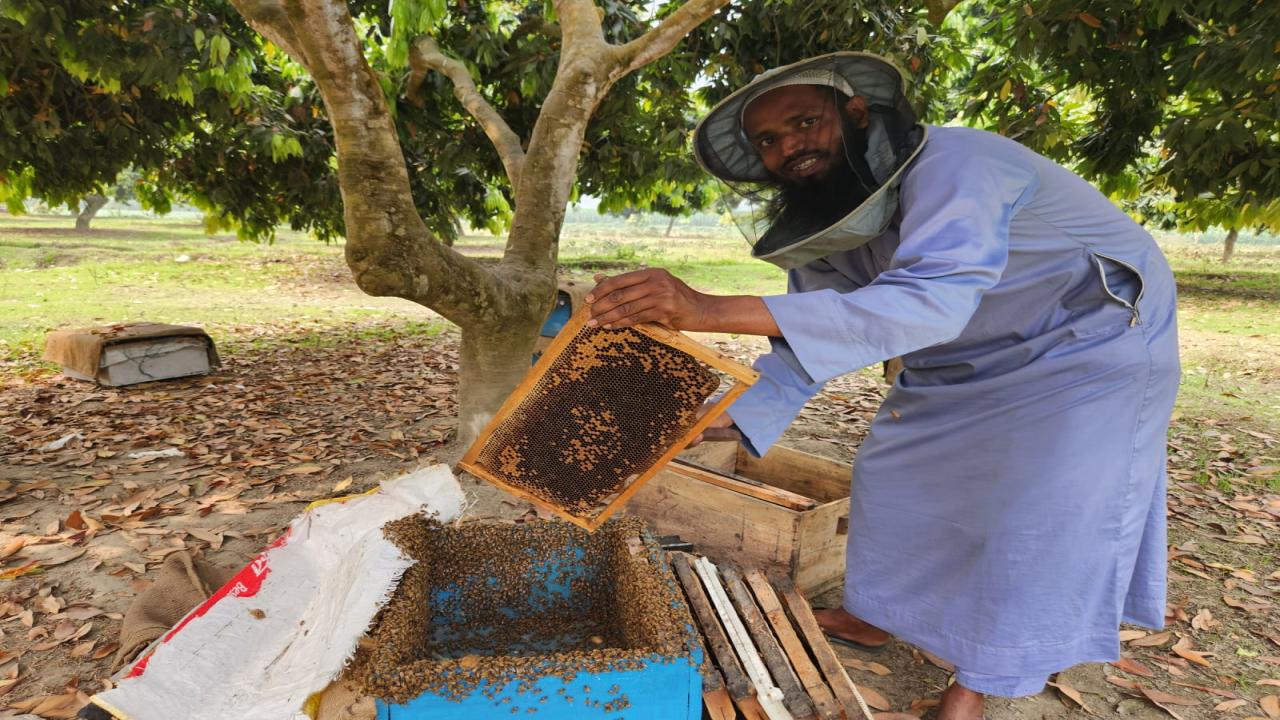 ছবি: প্রতিনিধি